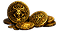 Runes